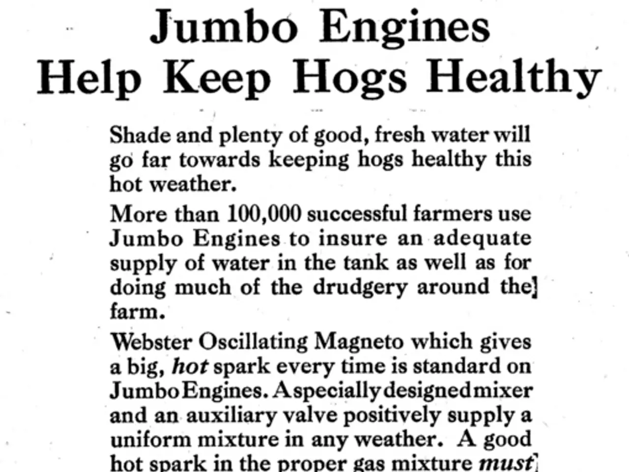 Jenny's Daily Drivers Highlights: FreeDOS Version 1.4