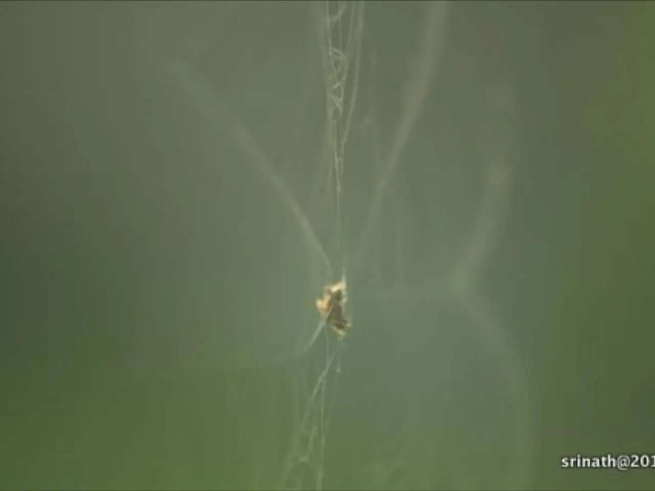 Experiencing issues with a website not loading? Dive into the meaning behind those pesky error...