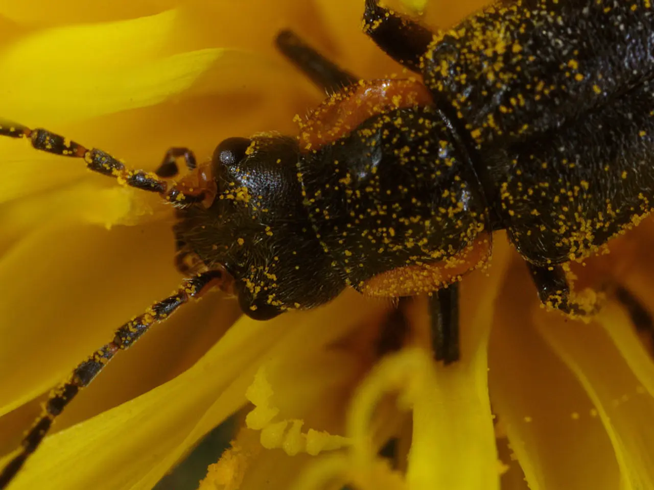 SolarWinds Web Help Desk vulnerability earns a critical rating of 9.8