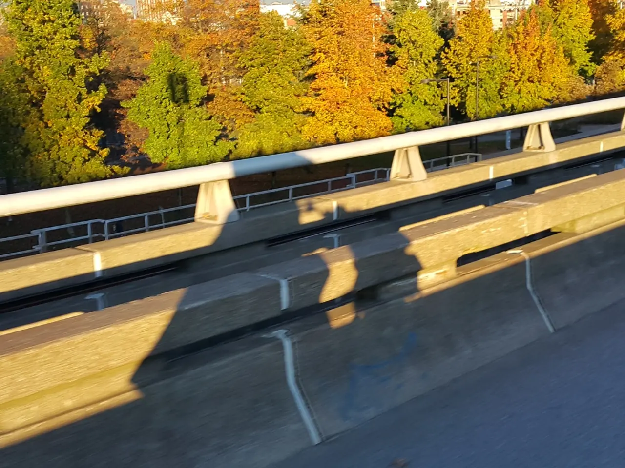 Forecasting Groundhog Day Weather Predictions: An Analysis of Precision