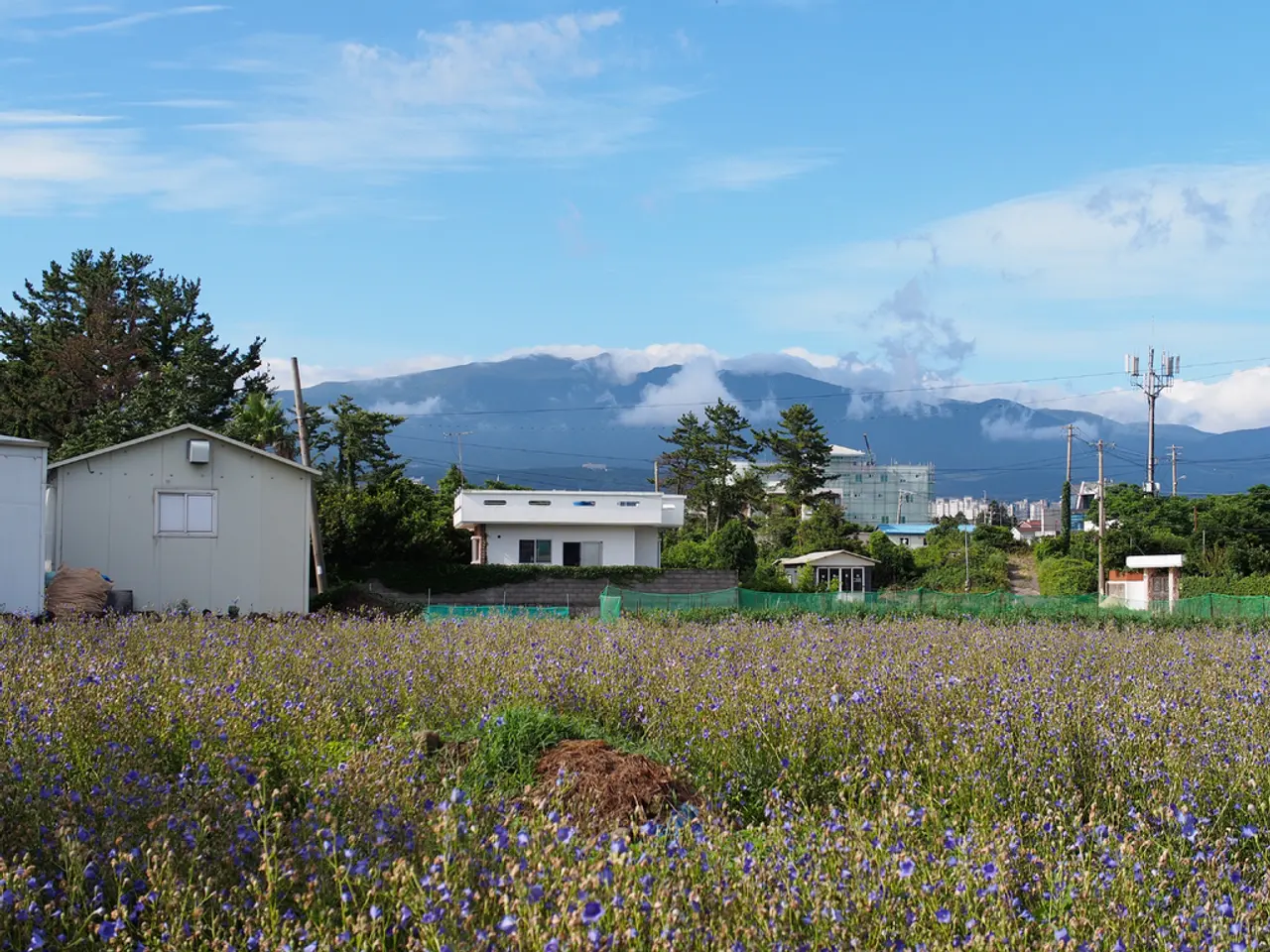 Investment Firm MPower Ventures Secures $2.7 Million for the Extension of Solar Energy Services in...