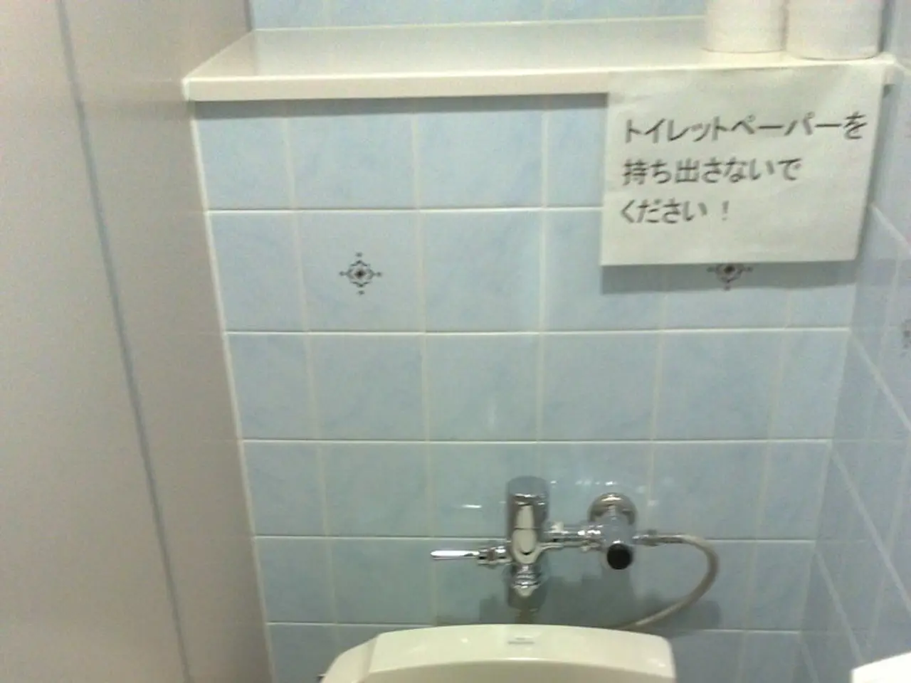 Toyota's Unexpected Toilet Design: The Shocking Revelation Explained!