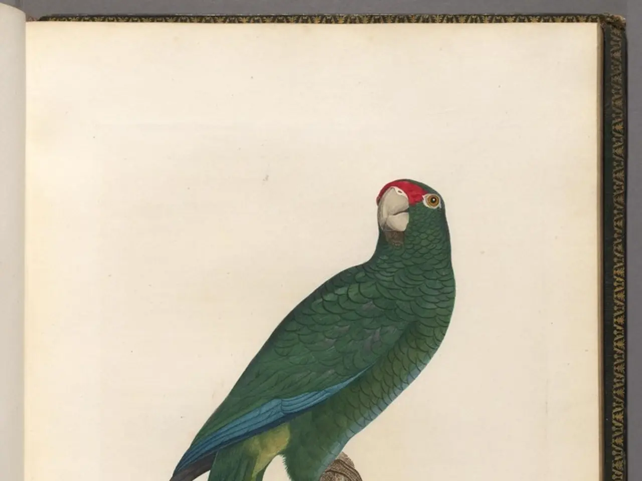 Distinguishing Features of Warren Buffett