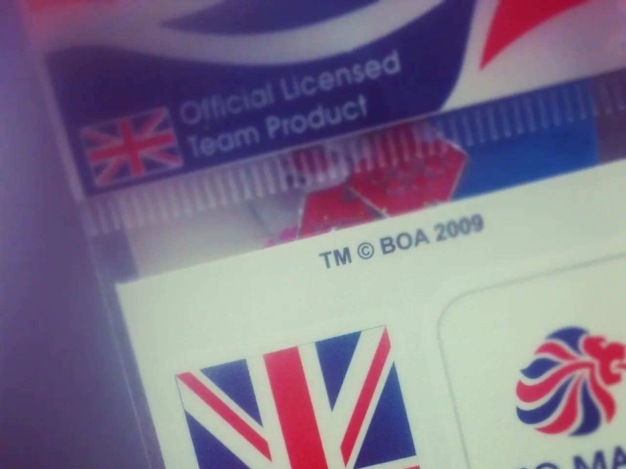 Biometric Authentication and Adaptive Security Measures-An Ideal Combination?