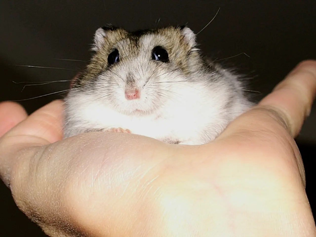 Logitech develops revolutionary mouse click design for its upcoming haptic Superstrike mouse model