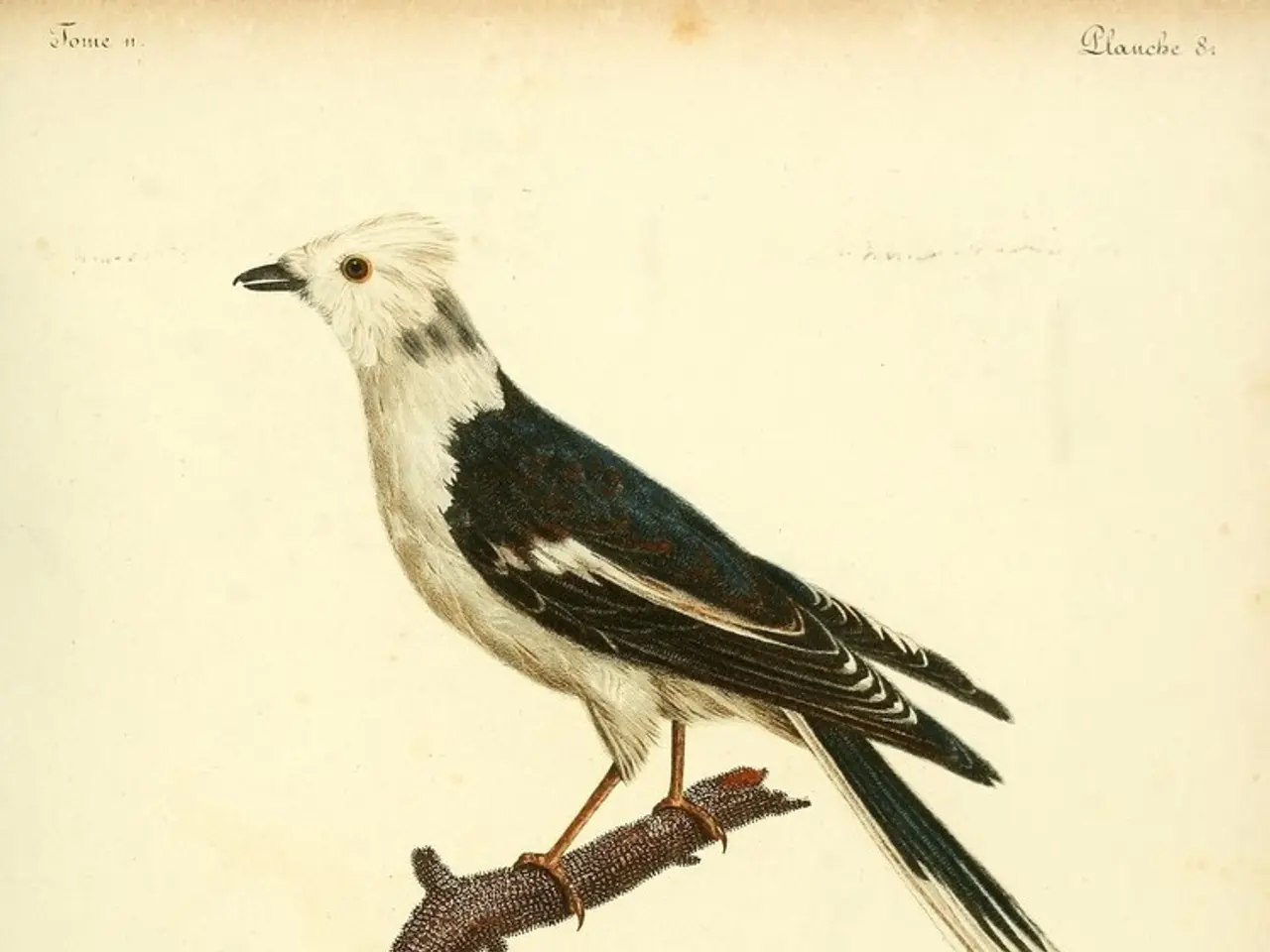 Artificial Intelligence Pope Rejectal: Reasoning Behind Pope's Disapproval of AI Simulation of Self