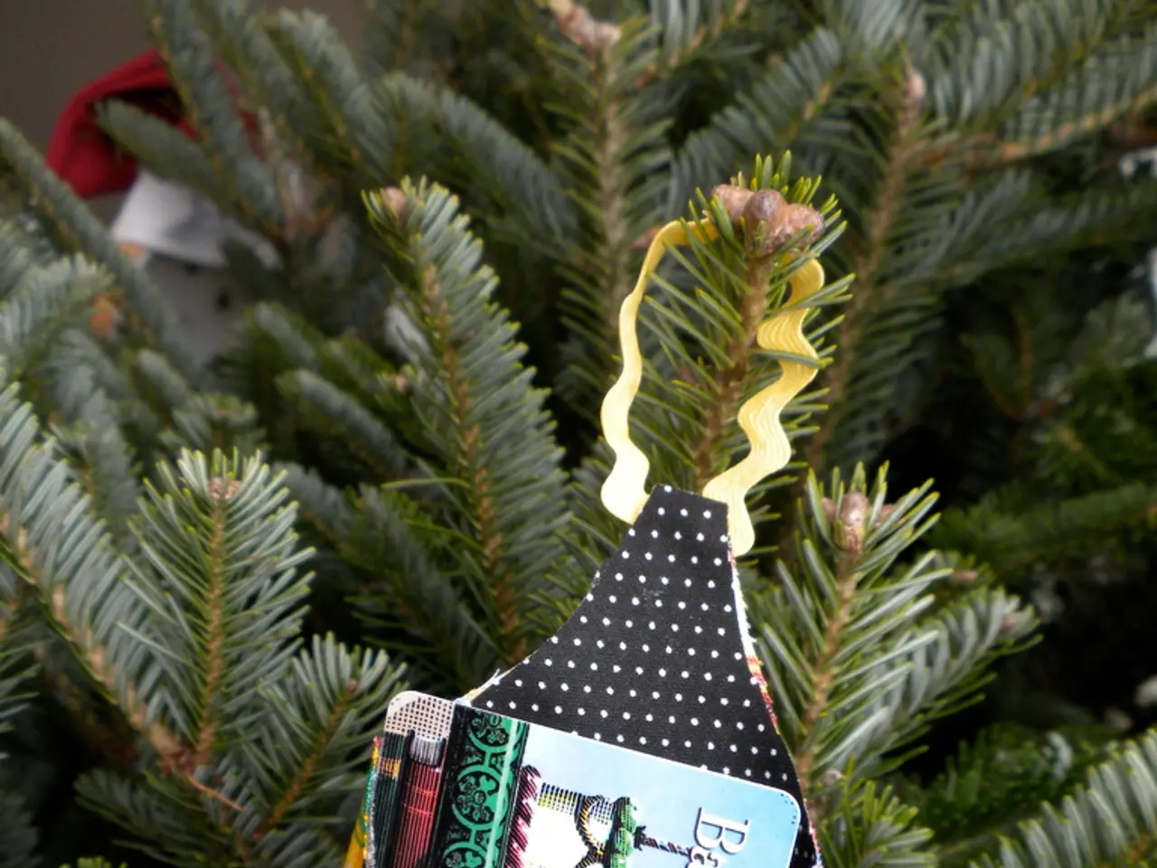 Unveiled: Potential for Brute-Force Assaults on Tangem Cards' Security Integrity