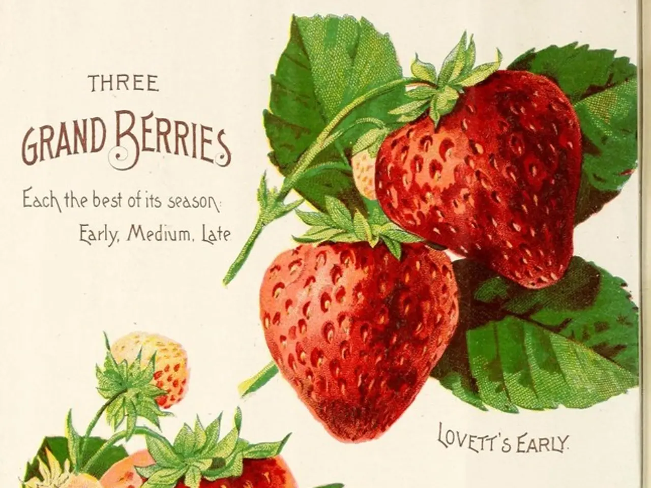 Hornet, the protagonist in Team Cherry's Silksong, outpaces the knight from Hollow Knight in speed...