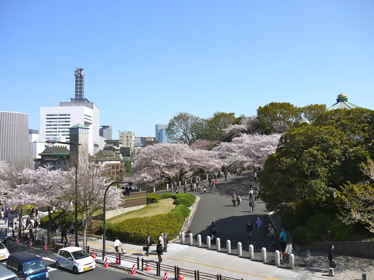 Reason for Participation