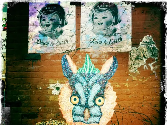 Modifying Profile Picture Size on Discord in 2021