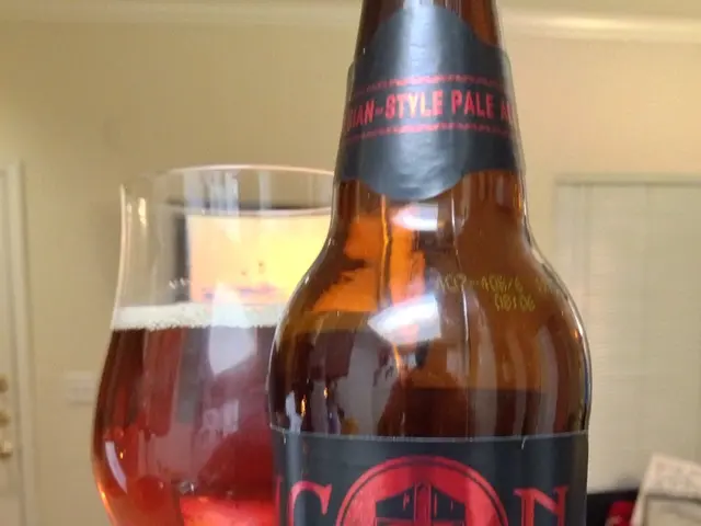 Transformative Impact of Smart Glasses on Banking Sector