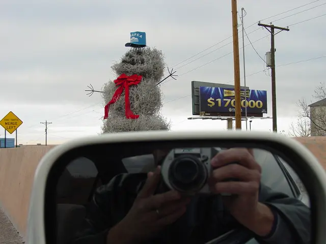 Top-Ranked Nikon Cameras Ideal for Astrophotography in 2025