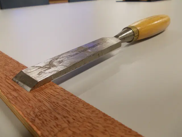 Replacement nibs for Noris Digital EMR, produced by STAEDTLER.