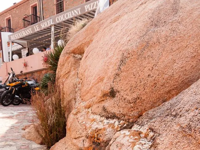 The Significance of Biomimicry in the Development of Technology