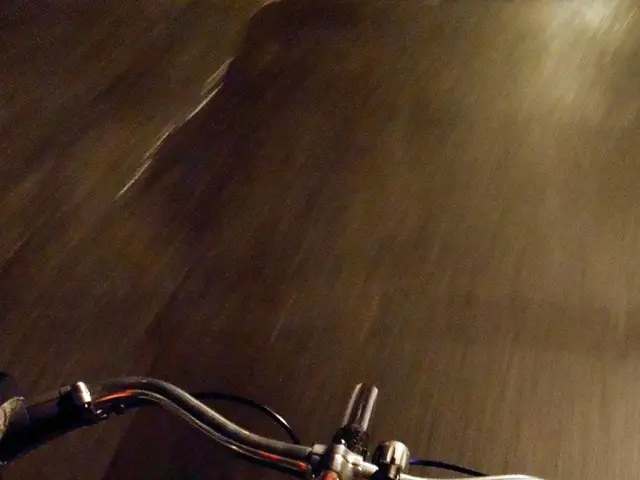 Navigating the Future: Steering our Path Ahead