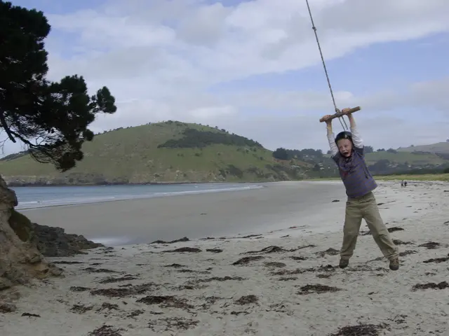 Analysis of Thirteenth Set of Reinforcement Learning Research Publications