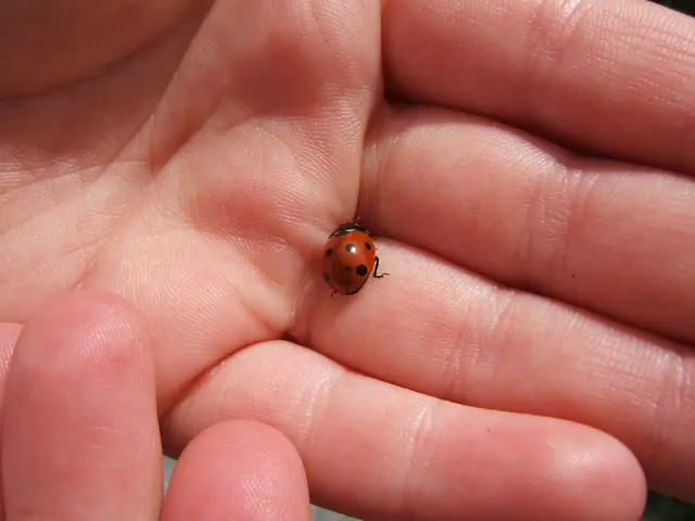 Cybercriminals are leveraging a significant weakness in Microsoft's security system on a large...