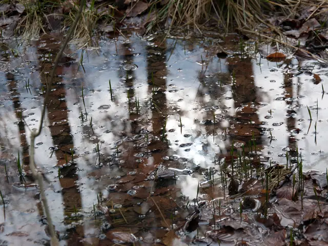 Supercooled water transforms into two distinct liquids, and we're gaining insight into their...