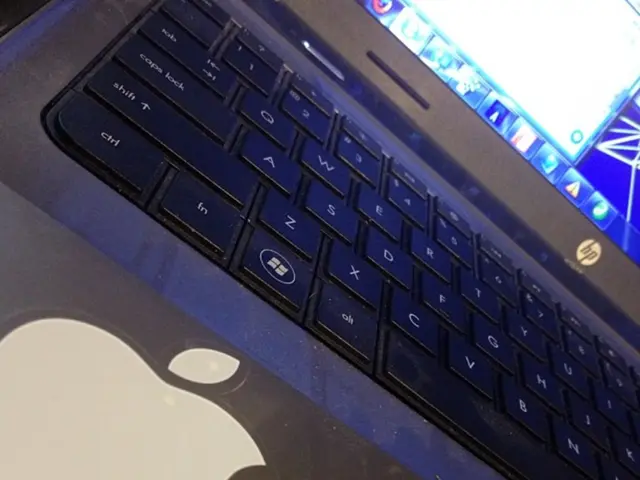 Projected Expansion Rate of 10.2% in the Laptop Screen Extender Industry