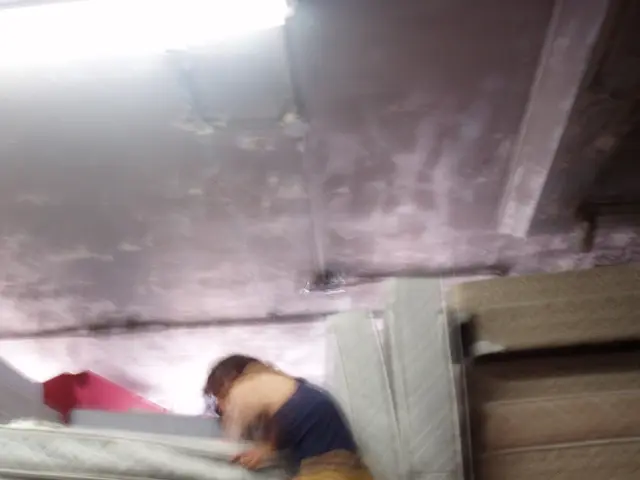 Comparison and Contrast between Serta and Sealy Brands, Highlighting their Unique Features