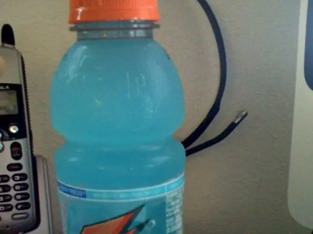 Unveiling the Basics of Grape Escape