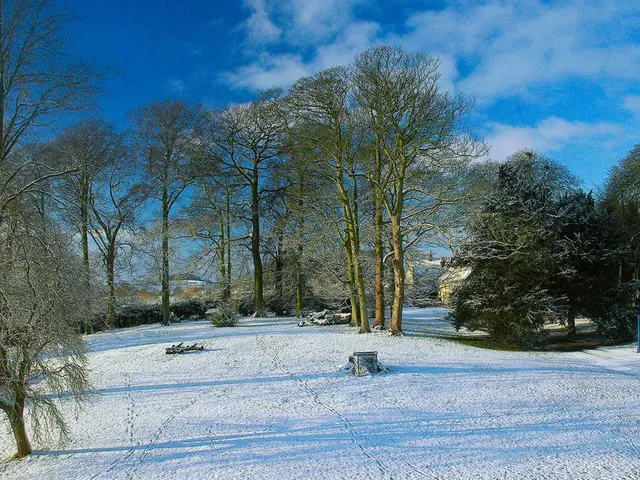 Transferring Data Seamlessly From Oracle to Snowflake: A Step-by-Step Guide