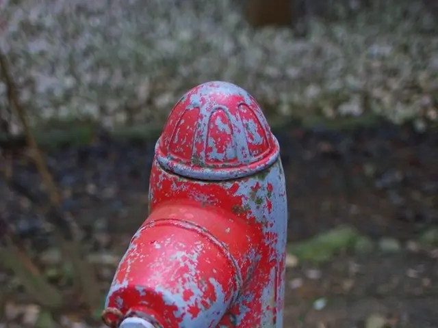 Modern Gadgets: Weighing the Advantages and Disadvantages of Chemical and Mechanical Filtration