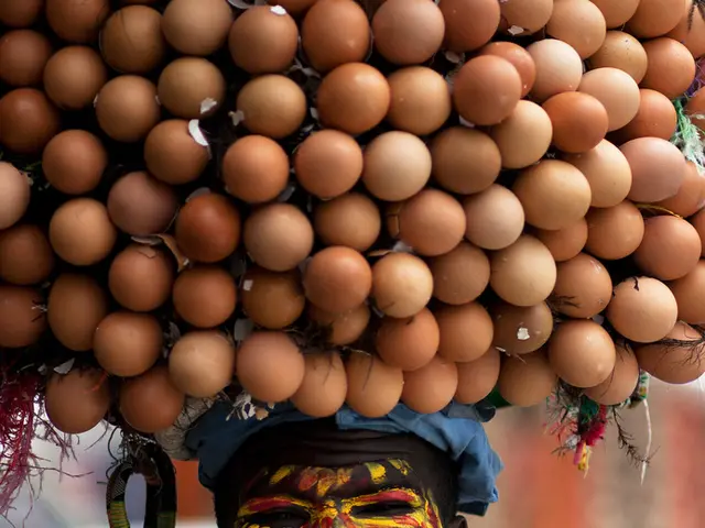 Lucid Selects Actor Timothée Chalamet for Gravity Endorsement Campaign