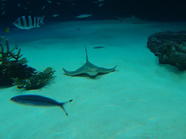 AI technology from MTS facilitates economic monitoring in Kamchatka