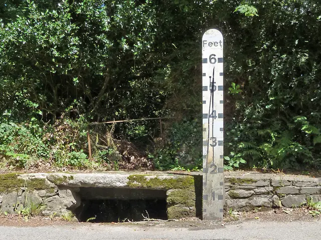 Affordable solution for complex tree trimming tasks this autumn: a compact, cordless mini chainsaw...