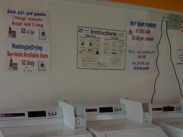 Exploring new horizons in crafting? Check out these top-notch Cricut substitutes instead!