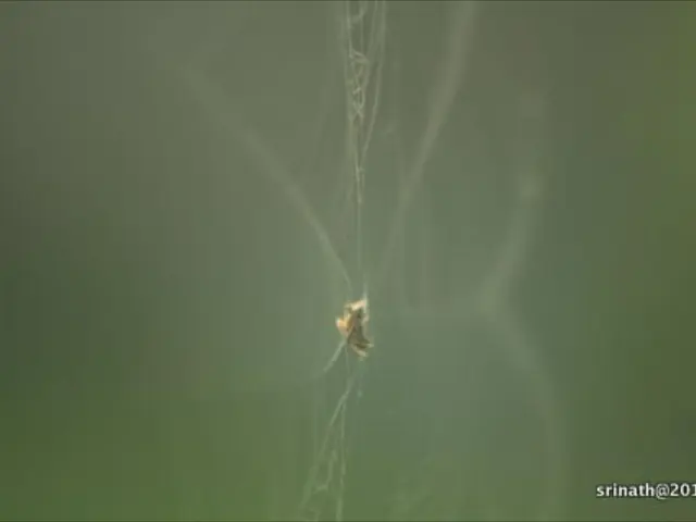 Experiencing issues with a website not loading? Dive into the meaning behind those pesky error...