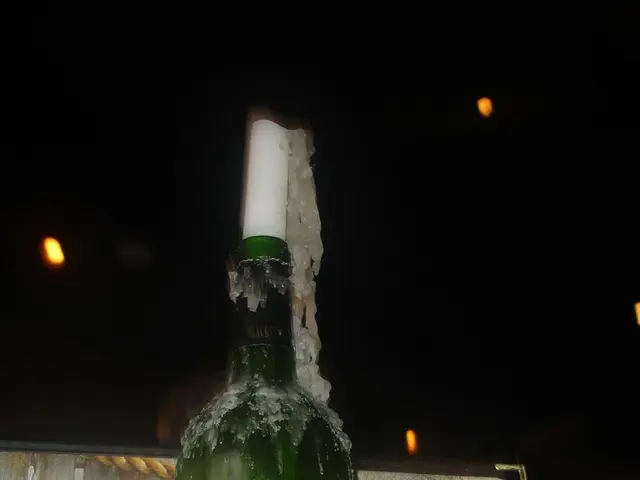 Seven Formalated Guides for Organizing Your Product's Debut