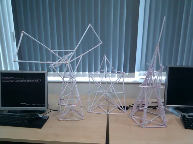 web designer proficient in creating and maintaining WordPress sites