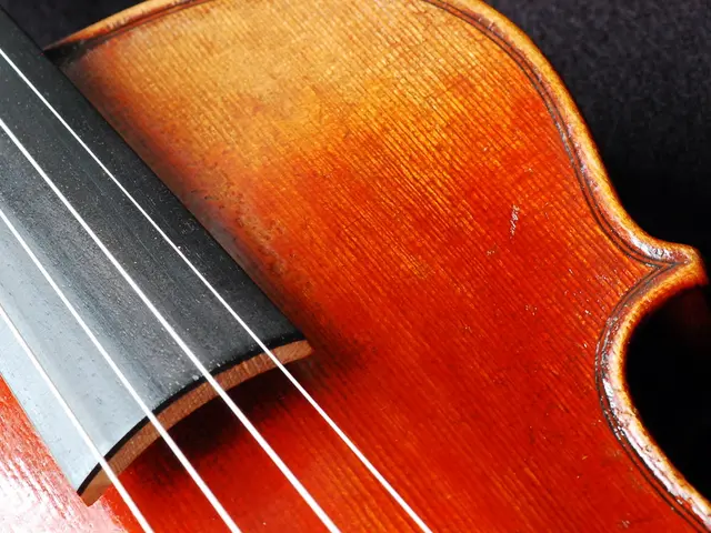 In a revealing discussion, musician Rafiq Bhatia explores the innovative strategies behind his...