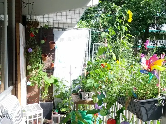 Top 10 Premium WordPress Templates for Property Websites in the Year 2024