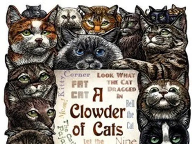 Grayscale Planning DOGE-Based ETF: Maxi Doge ($ MAXI ) Potentially a Successful Venture