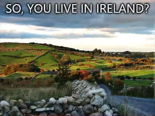 Utilization of Drones in Wildfire Management