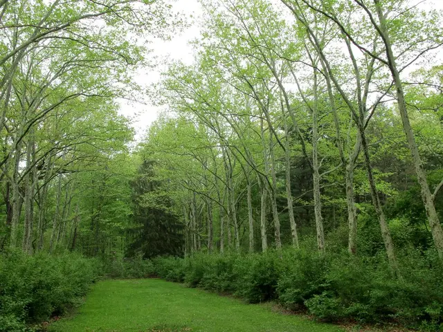 Exploring Microclimate Influences in Sustainable Agriculture Planning