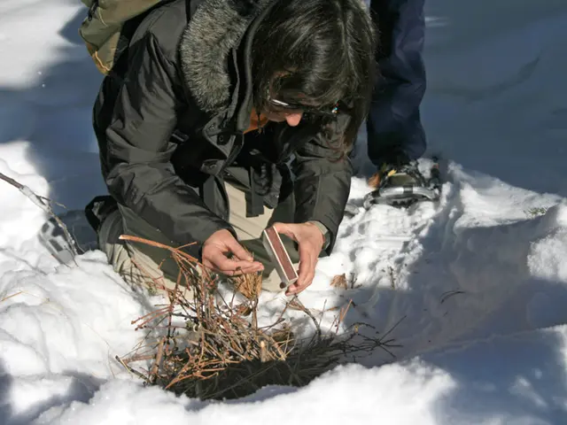 Firefighters Association Voices Dissatisfaction Over Handling of Cyber Assault