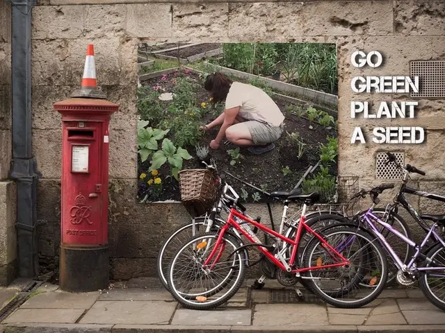 Outdoor enthusiasts now have access to a groundbreaking application designed to enhance safety...