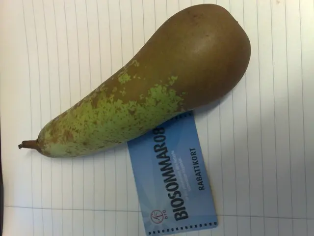 Aryza adopts 'Instant Bank Pay' from GoCardless for seamless bank transactions