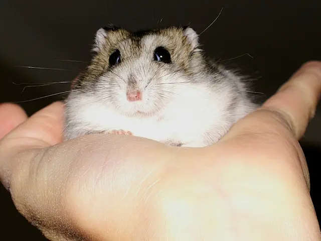 Logitech develops revolutionary mouse click design for its upcoming haptic Superstrike mouse model