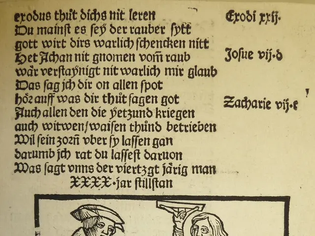 The Cost of Website Translation in 2025: A Comprehensive Analysis (A Detailed Examination)