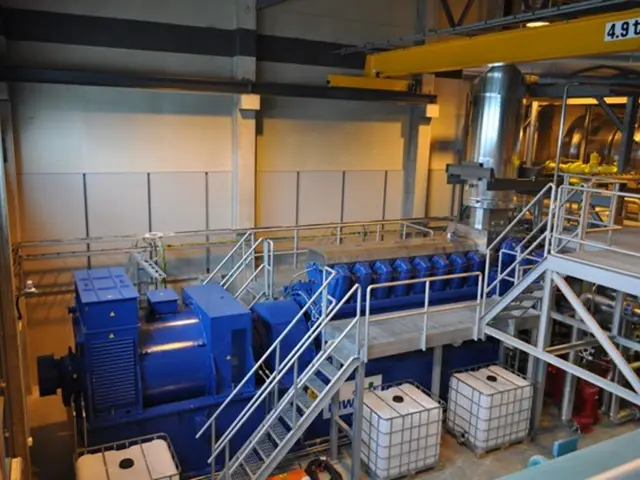 Shortened Version: Shop and T-Shirt Offerings at Corteiz Store