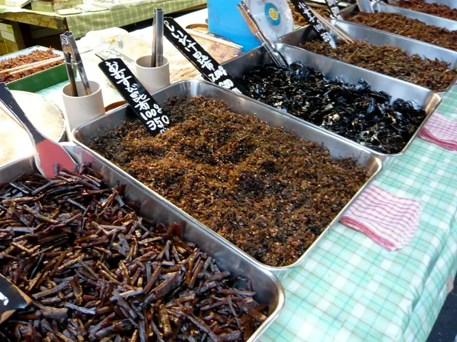 Container Image Scanning: Characteristics, Advantages, and Functions Explained