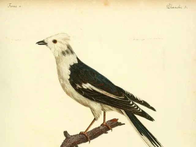 Artificial Intelligence Pope Rejectal: Reasoning Behind Pope's Disapproval of AI Simulation of Self