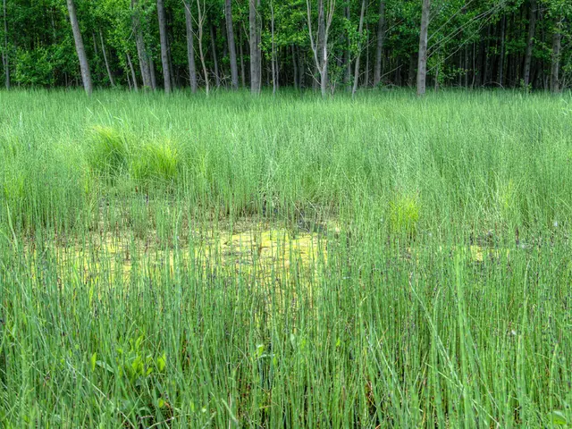 Enhanced End-to-End Tracking Boosts Farmer Participation and Enhances Buyer Confidence