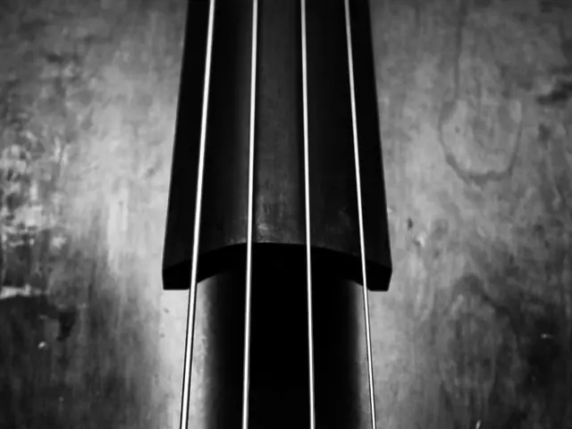 C programming function for extracting a portion of string at specified indices