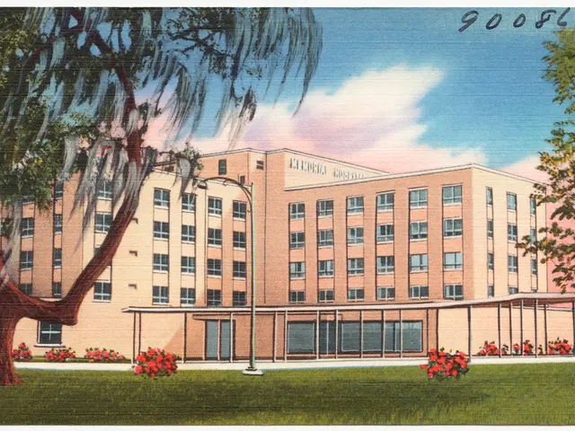 Ethereum Foundation Suspends Grant Aid to Focus on Strategic Endeavors